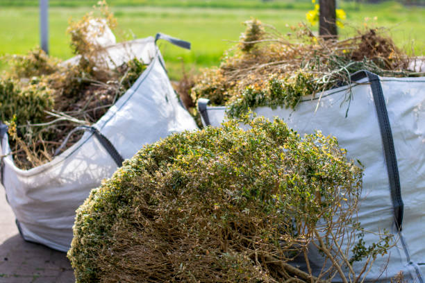 Best Commercial Cleanout Services  in Nags Head, NC